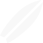 ICONE-BOARD-89